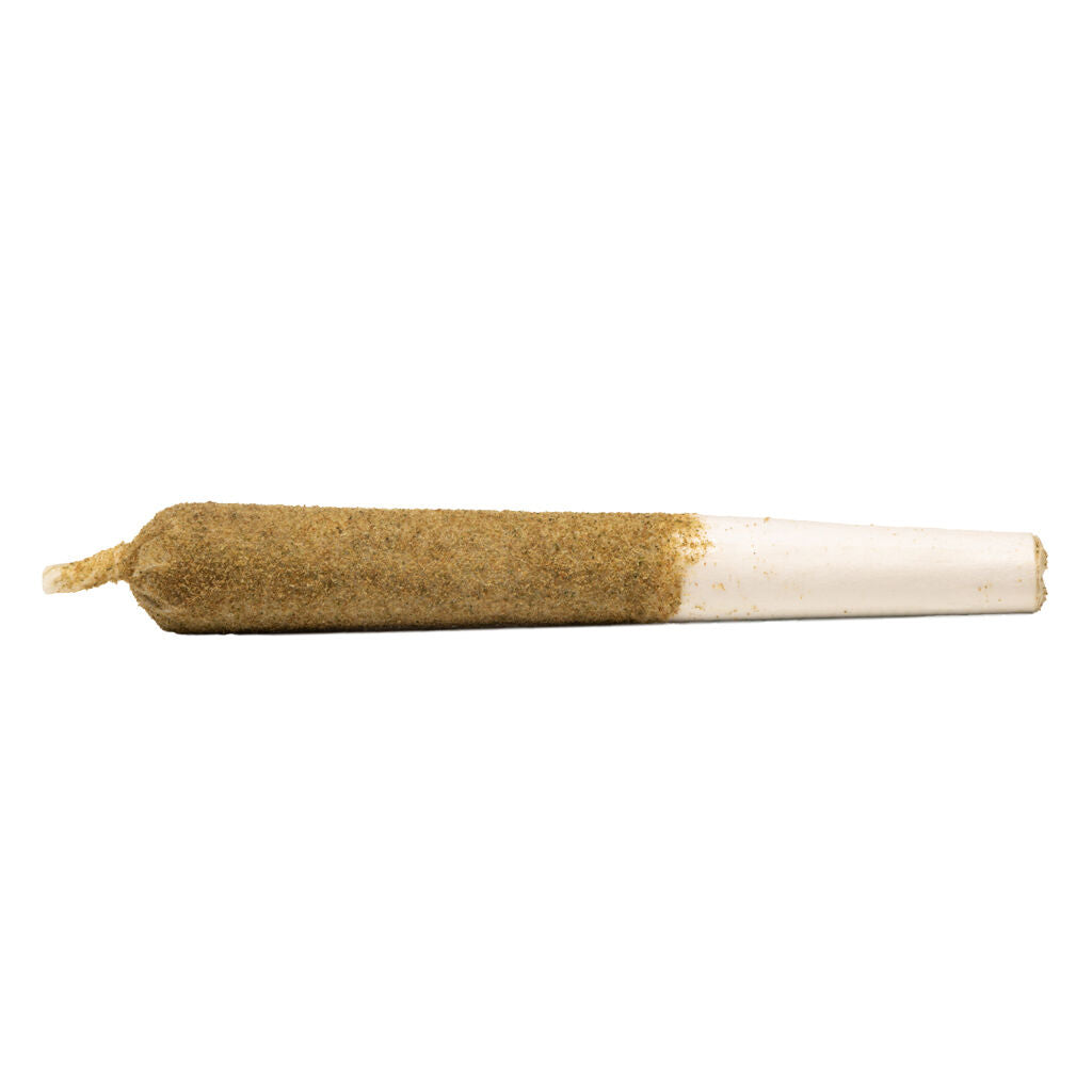 GENERAL ADMISSION PEACH RINGZ  (S) INF PRE-ROLL - 0.5GX3