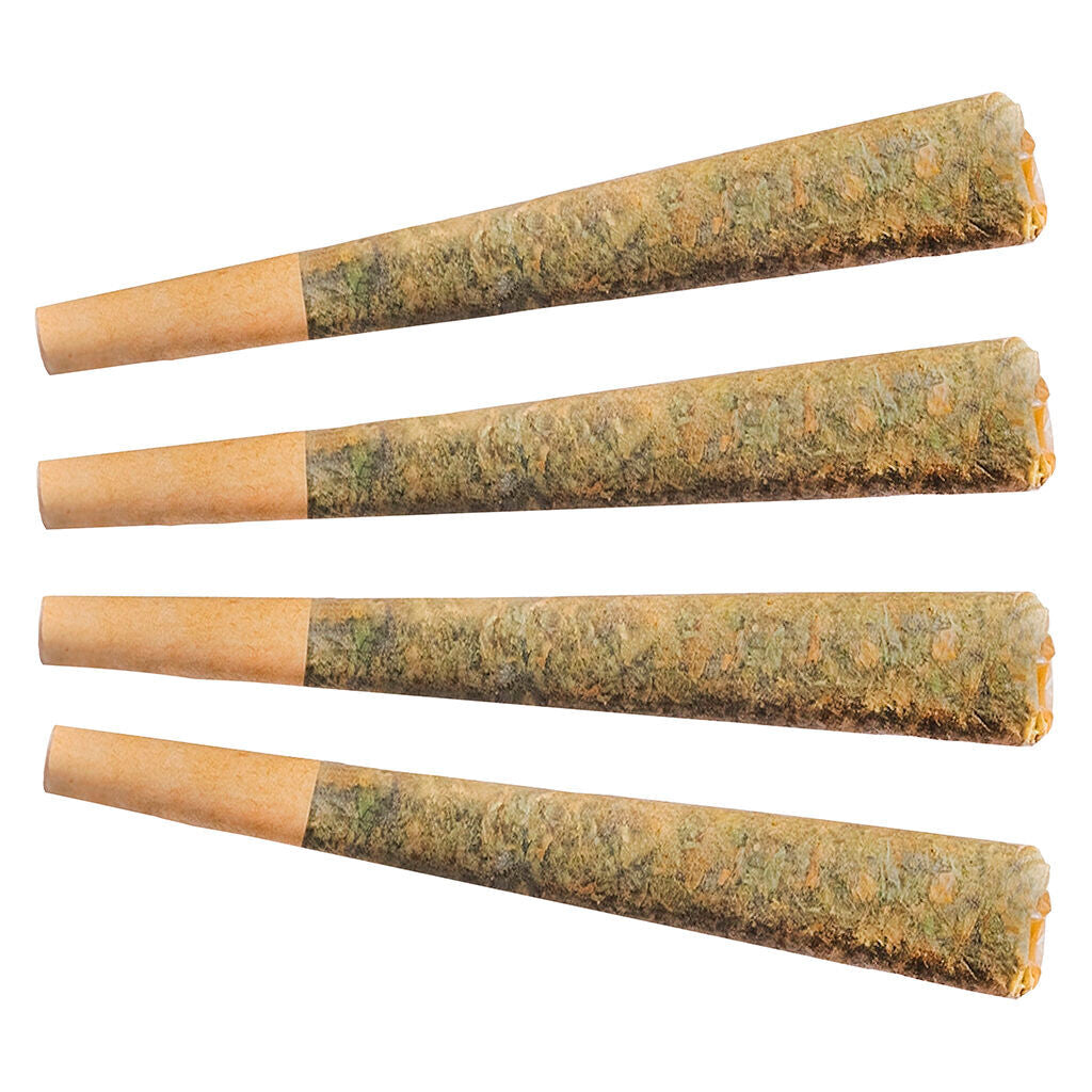 FUEGO NIGHT RIDER (IND) PRE-ROLL - 1G X 2