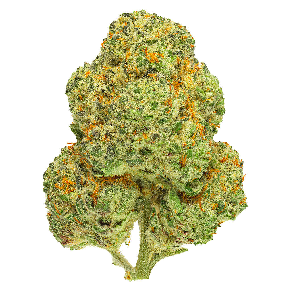 SAN RAFAEL 71 CHEMANGO KUSH (IND) DRIED - 14G