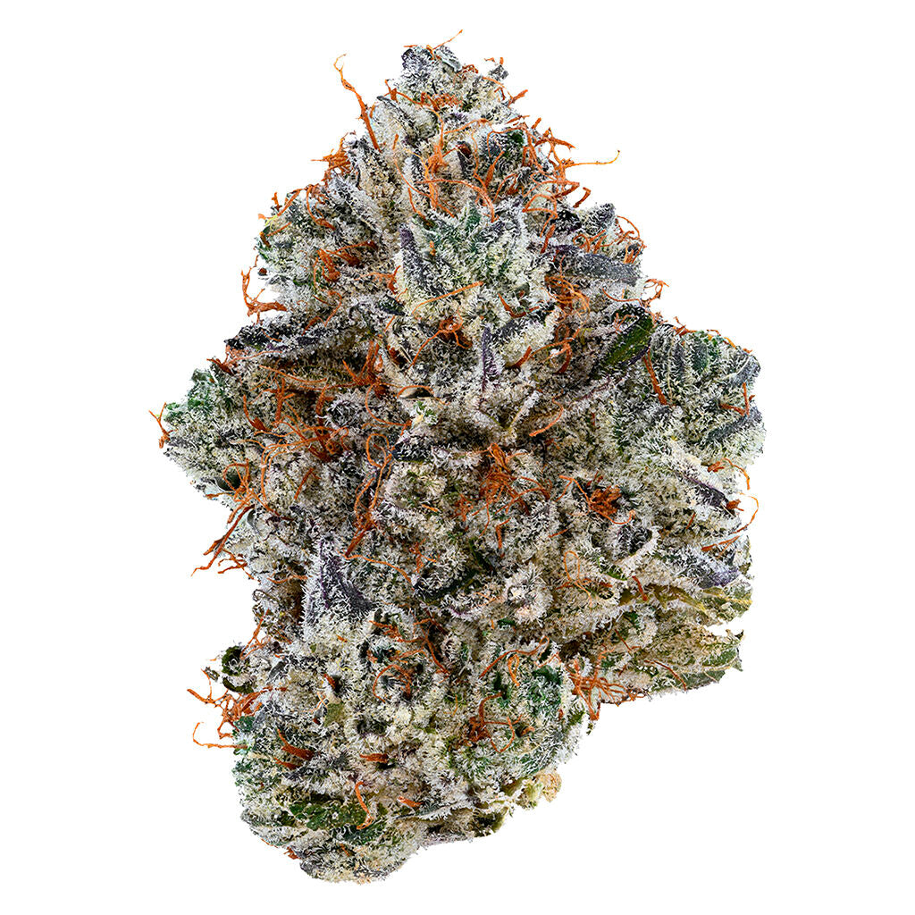 TRIBAL NEON SUNSHINE (H) DRIED - 3.5G