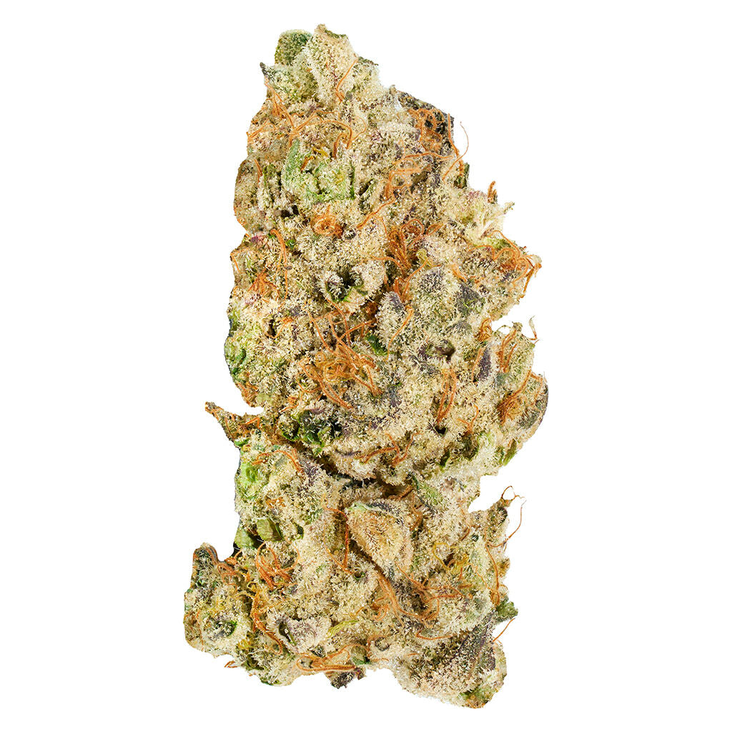 BROKEN COAST PLATINUM PAVE (IND) DRIED - 3.5G