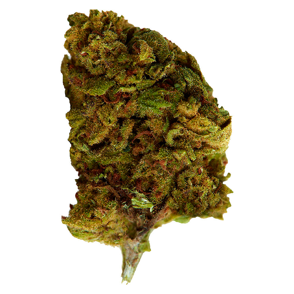 VERSUS BUBBA KUSH (IND) DRIED - 28G