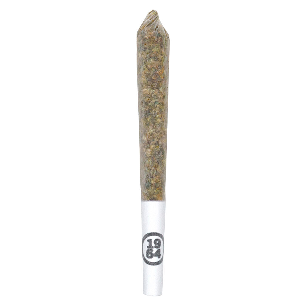 1964 BLUE DREAM (S) PRE-ROLL - 0.5G X 5