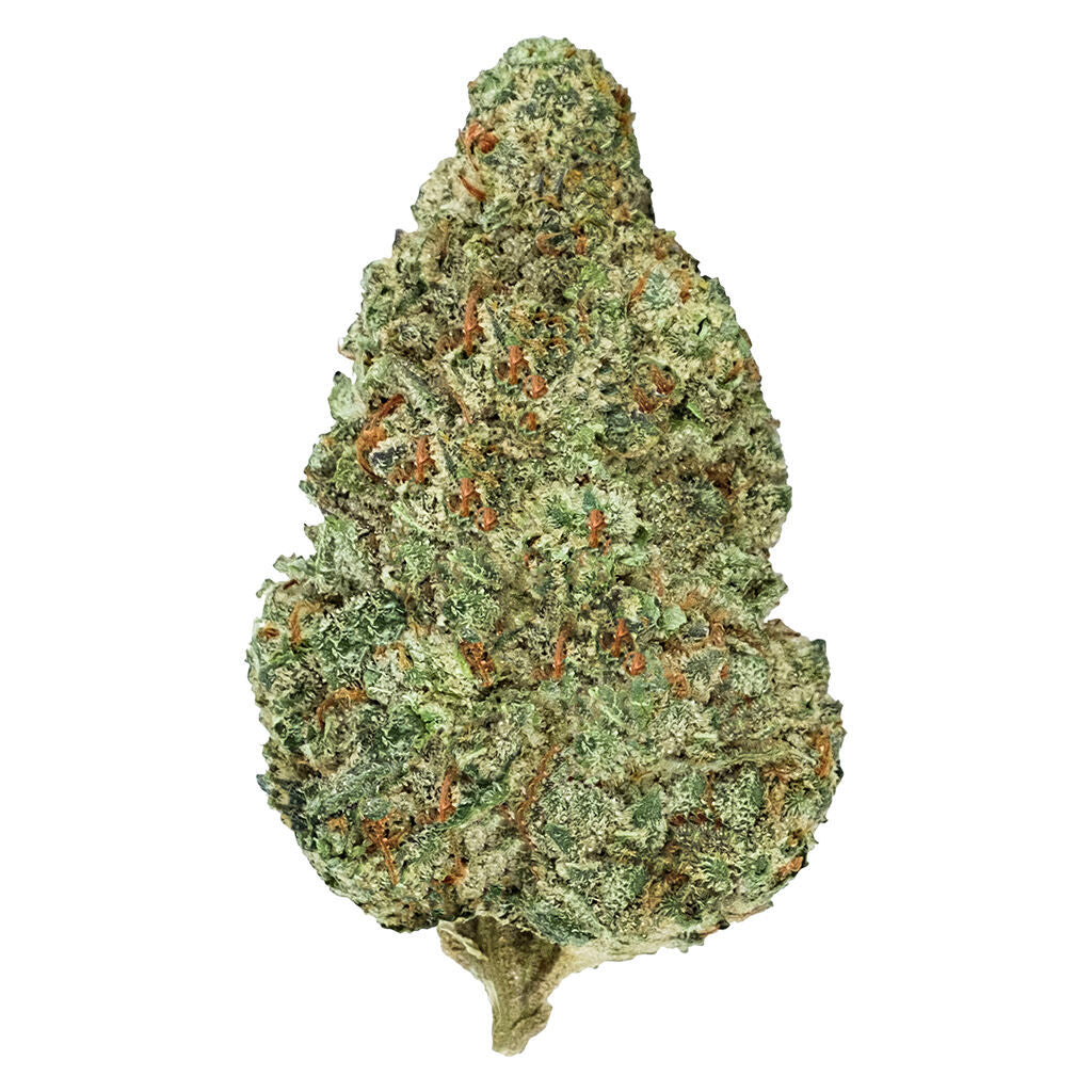 BACK FORTY CHEMZILLA (IND) DRIED - 28G