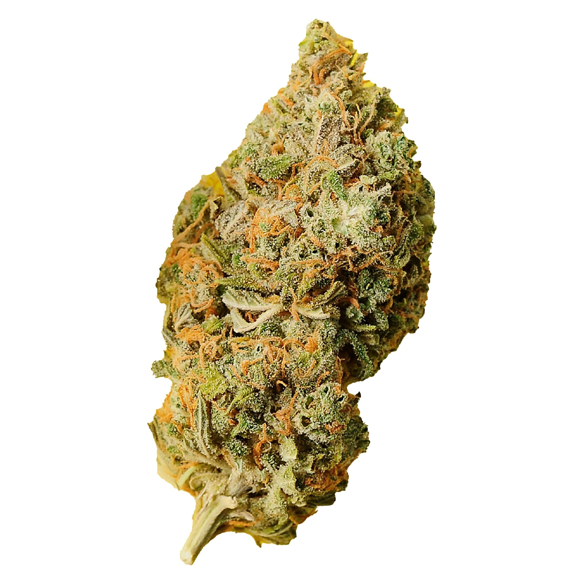 PALMETTO ORANGE BUD (IND) DRIED - 28G
