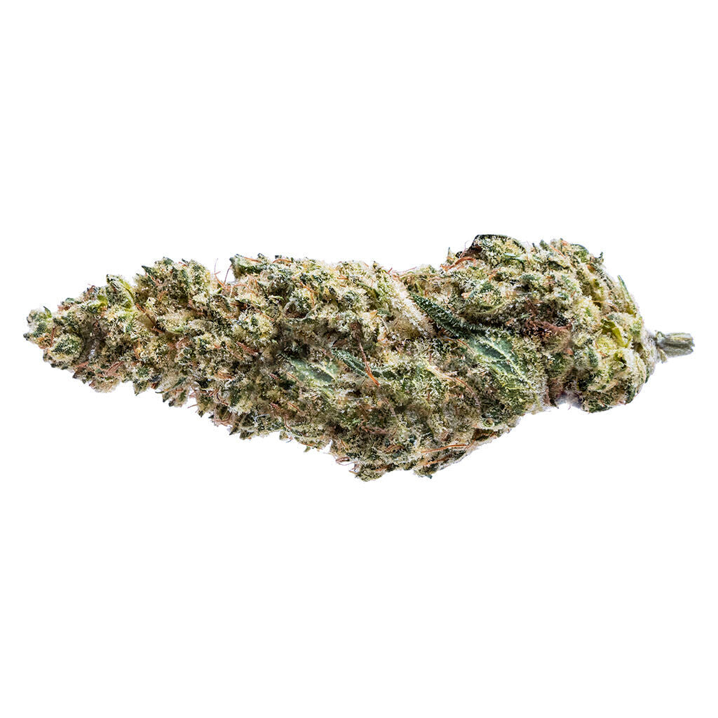 PURE SUNFARMS BLUE DREAM 16 (S) DRIED - 3.5G