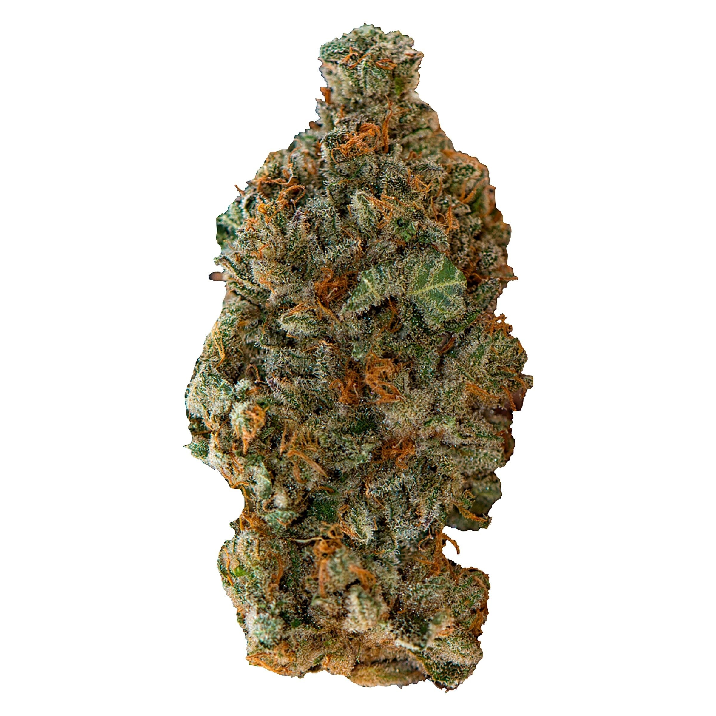 VERSUS GIRL SCOUT COOKIES (IND) DRIED - 7G