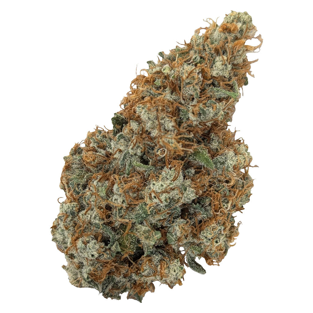 NATURAL HISTORY LIMITED RESERVE SATIVA (S) DRIED - 7G