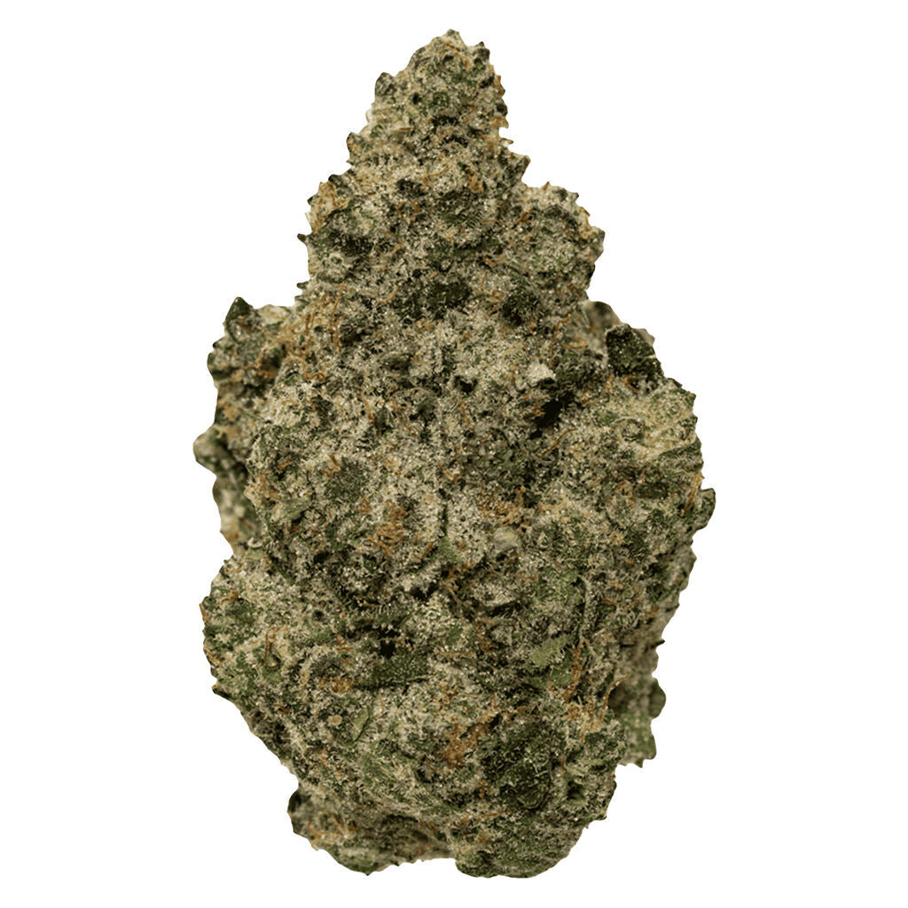 SIMPLY BARE BC ORGANIC BLACK ZOAP (IND) DRIED - 3.5G