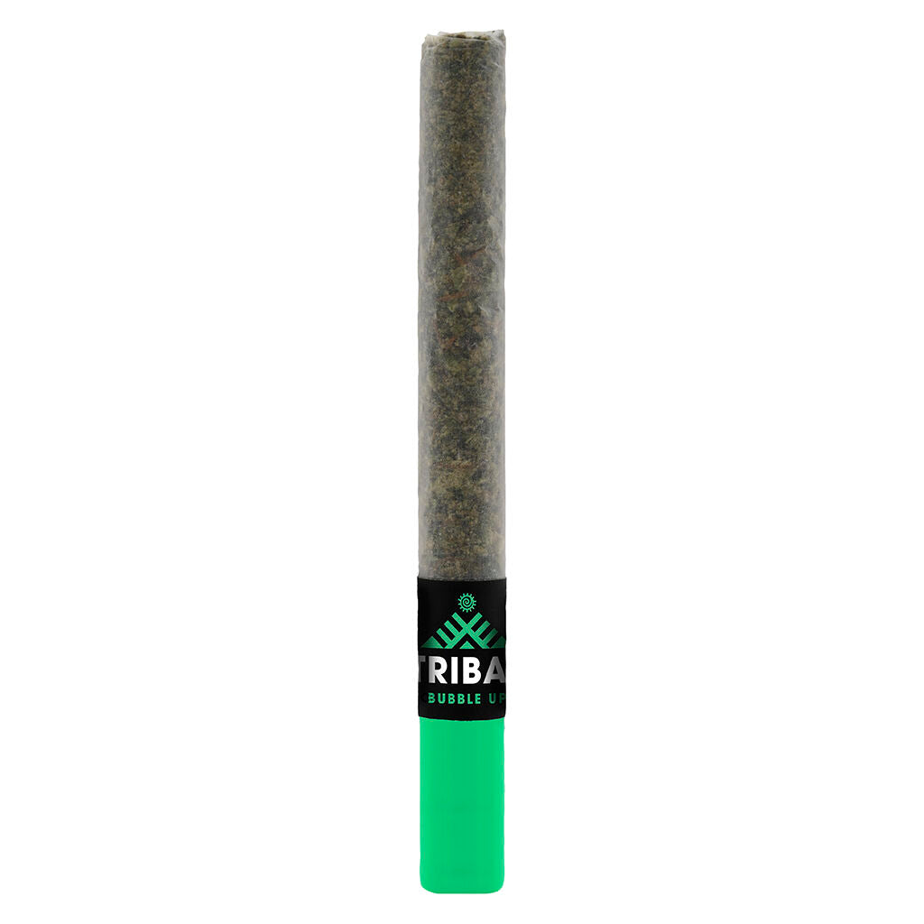 TRIBAL BUBBLE UP CERAMIC TIP (IND) PRE-ROLL 1G X 1