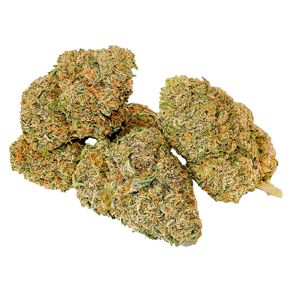 NORTH OF 28 ICE CREAM WIZARD PRIMO (IND) DRIED - 3.5G