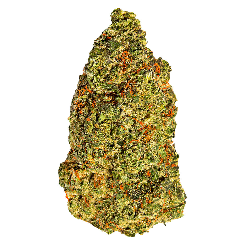 SOUTH POINT TURBO DIESEL (H) DRIED - 14G