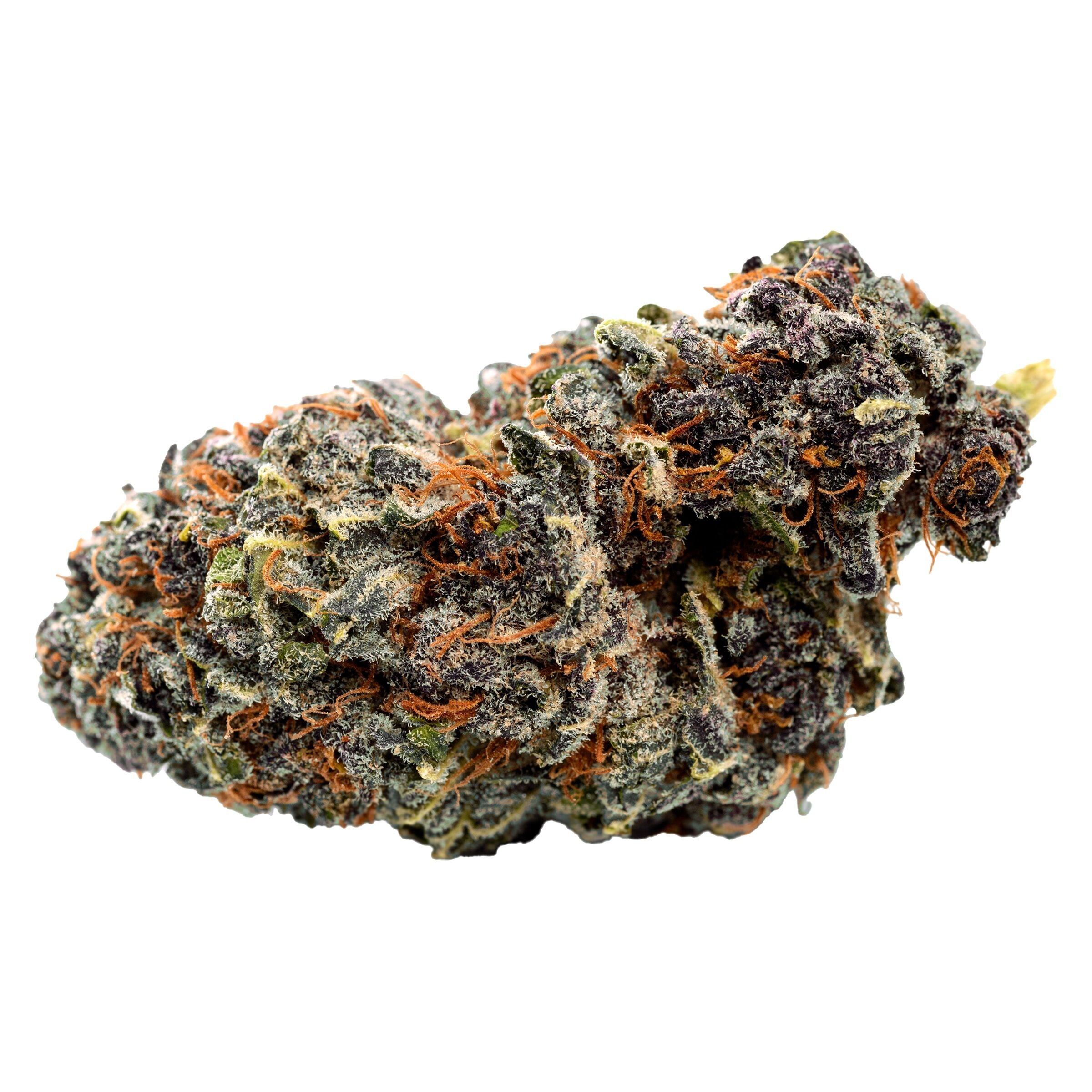 QWEST GEORGIA PIE (H) DRIED - 7G