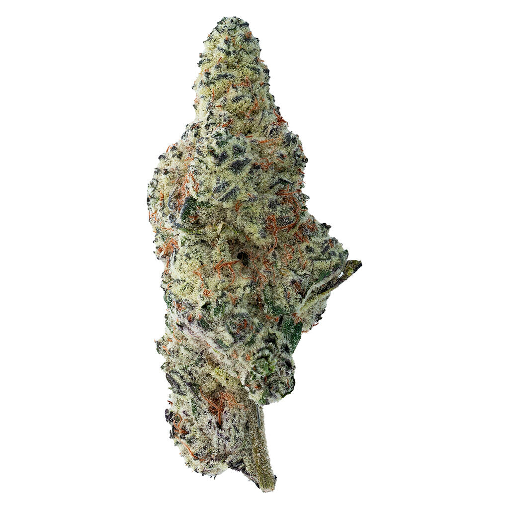 THE LOUD PLUG TROPICANA COOKIES (S) DRIED - 7G