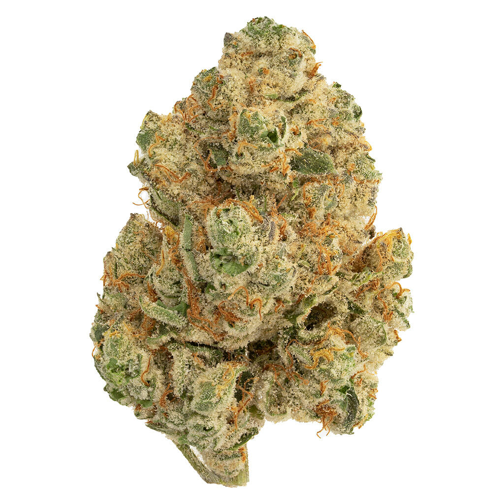 THE LOUD PLUG VENOM OG (IND) DRIED - 7G